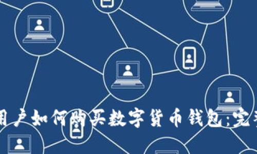 大陆用户如何购买数字货币钱包：完整指南