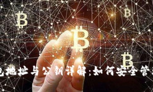 虚拟币钱包地址与公钥详解：如何安全管理数字资产