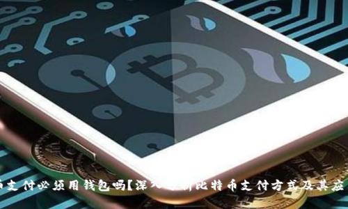 比特币支付必须用钱包吗？深入分析比特币支付方式及其应用场景