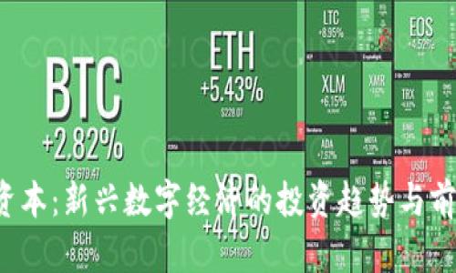 Web3资本：新兴数字经济的投资趋势与前景分析