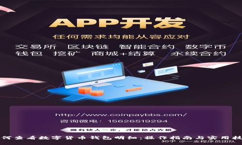 如何查看数字货币钱包明细:操作指南与实用技巧