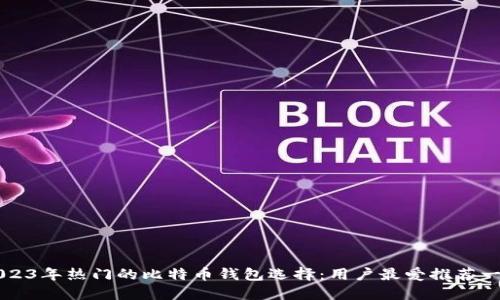 2023年热门的比特币钱包选择:用户最爱推荐一览