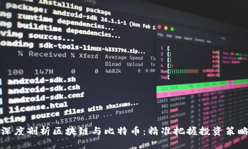 深度剖析区块链与比特币:精准把握投资策略