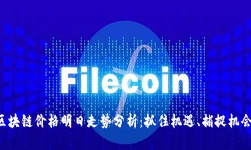 区块链价格明日走势分析：抓住机遇、捕捉机会！