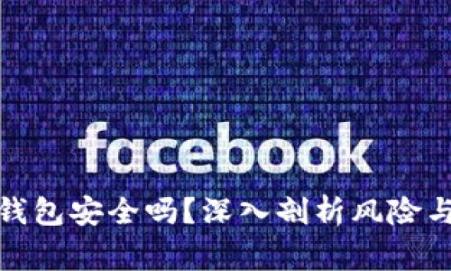 加密数字钱包安全吗?深入剖析风险与注意事项