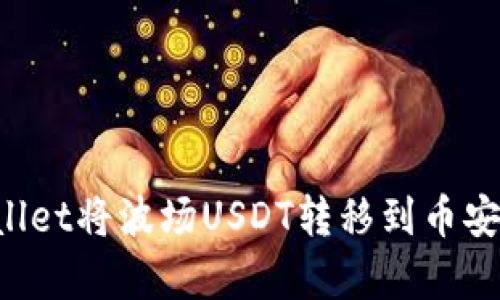 如何用tpWallet将波场USDT转移到币安链：步骤详解