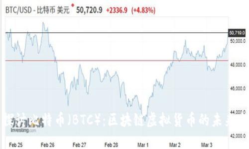 深入探讨比特币（BTC）：区块链虚拟货币的未来与挑战