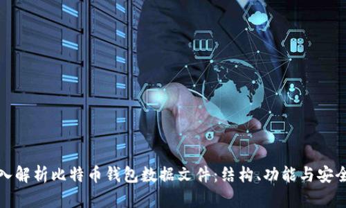 深入解析比特币钱包数据文件：结构、功能与安全性