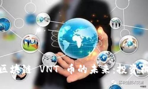 探索云像区块链 VNT 币的未来：投资机会与挑战