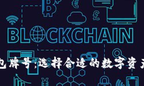 区块链钱包牌号：选择合适的数字资产存储工具