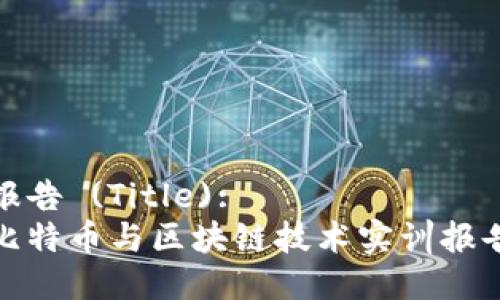 报告 (Title):
比特币与区块链技术实训报告