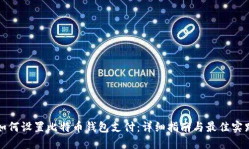 如何设置比特币钱包支付：详细指南与最佳实践