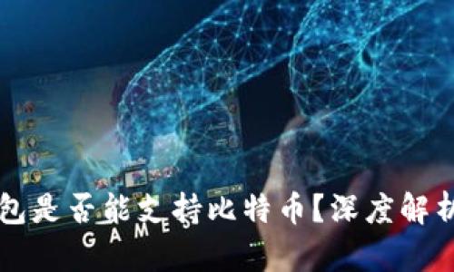 中国数字钱包是否能支持比特币？深度解析与应用前景